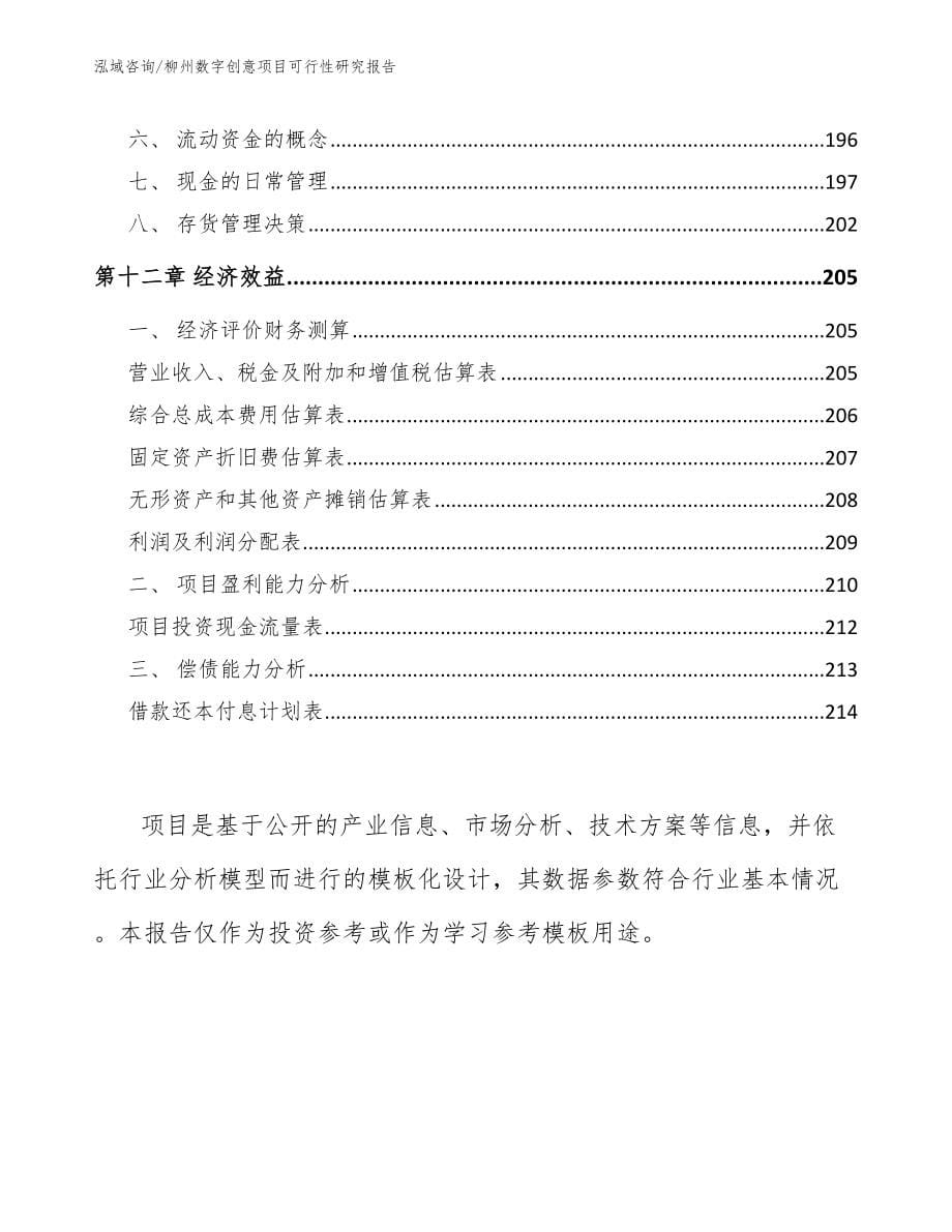 柳州数字创意项目可行性研究报告【参考范文】_第5页