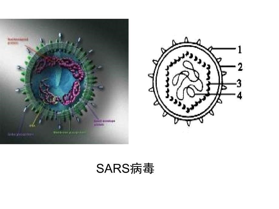 适合高一学生的课件：必修一第一章第一节第一课时.ppt_第5页