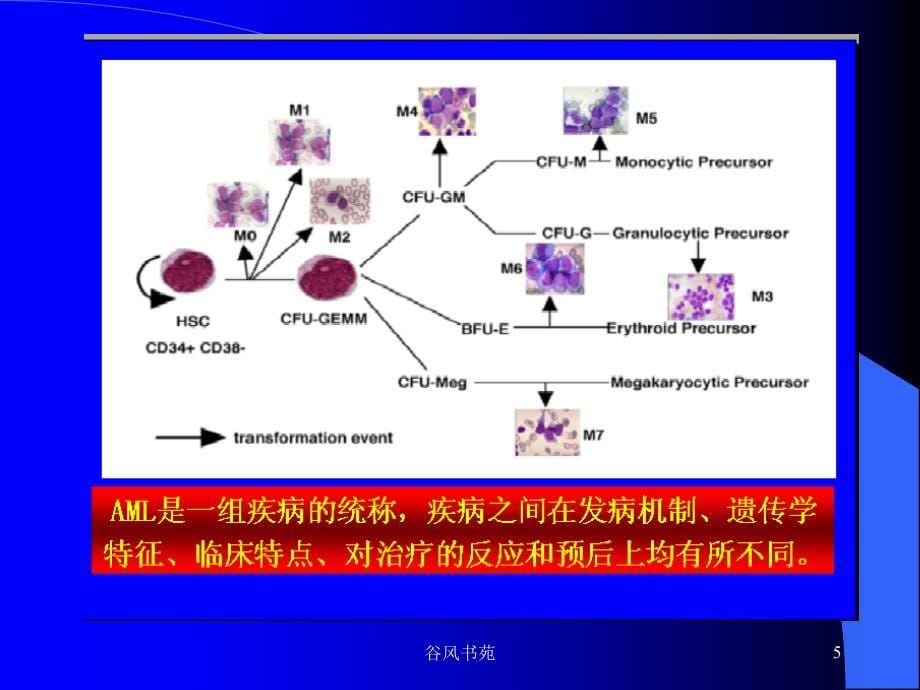 白血病 含急、慢性白血病的临床表现、诊断及鉴别诊断【医药荟萃】_第5页