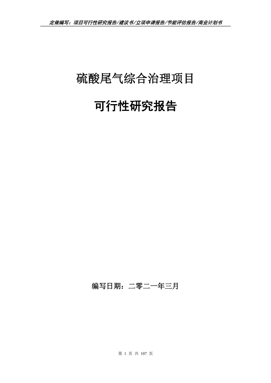 硫酸尾气综合治理项目可行性研究报告写作范本_第1页
