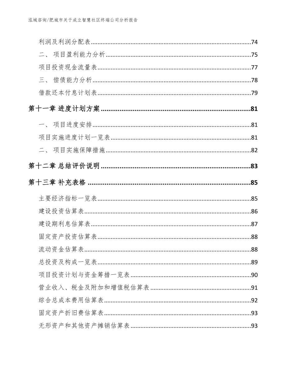 肥城市关于成立智慧社区终端公司分析报告（模板范文）_第5页