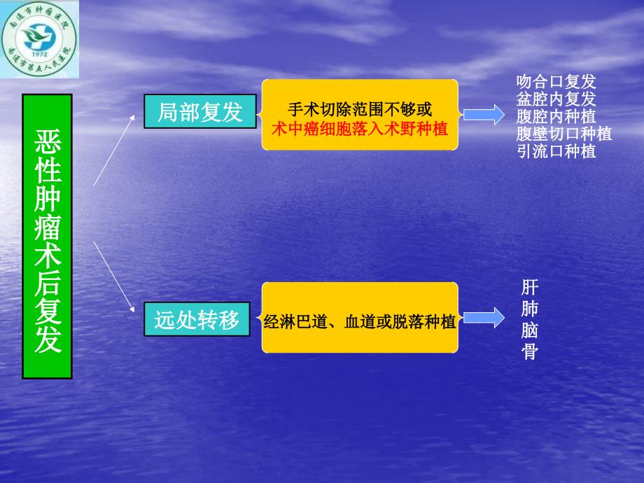 再谈肿瘤外科的无瘤技术和原则_第3页