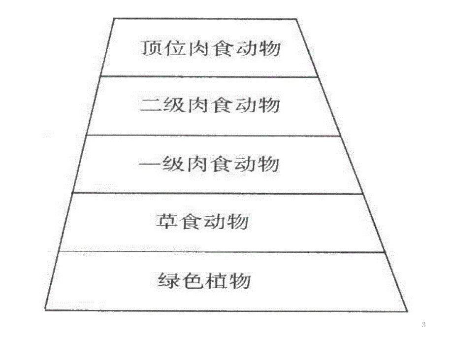 捕获光能的色素56831_第3页