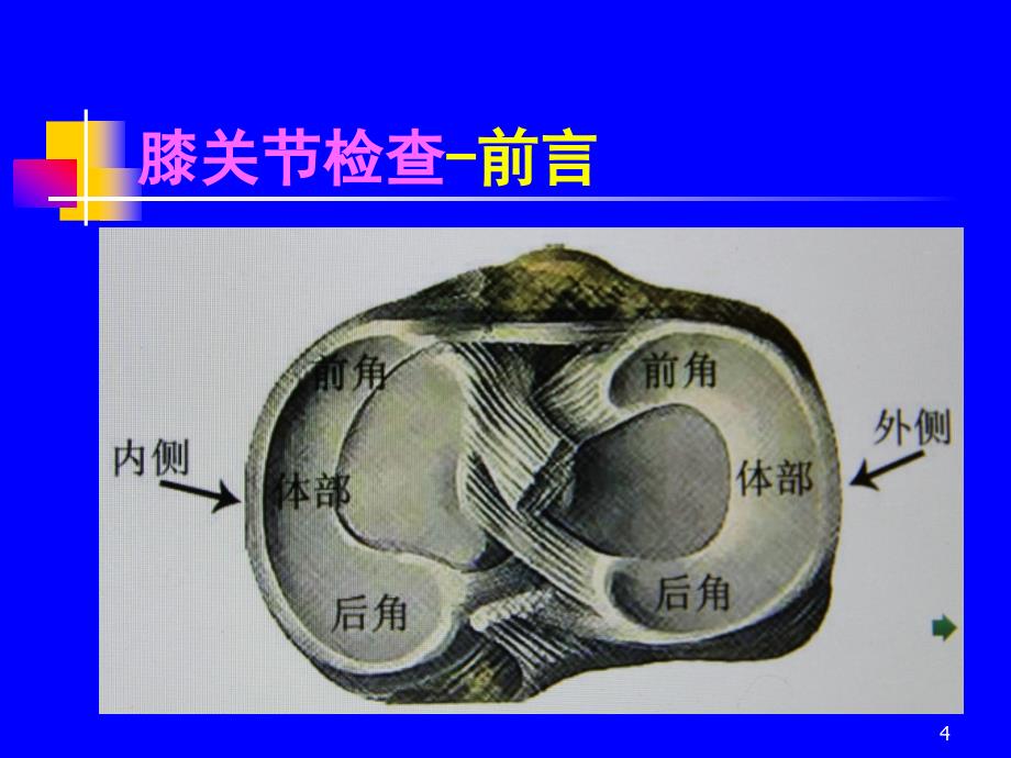 （推荐医学）膝关节体格检查_第4页