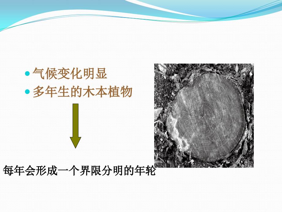 树木年轮_第3页