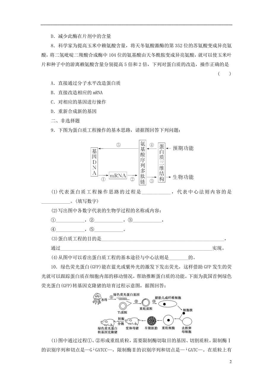 1.4　蛋白质工程的崛起 (4)(精品)_第2页