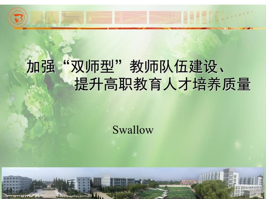 加强双师型教师队伍建设提升高职教育人才培养质量_第1页