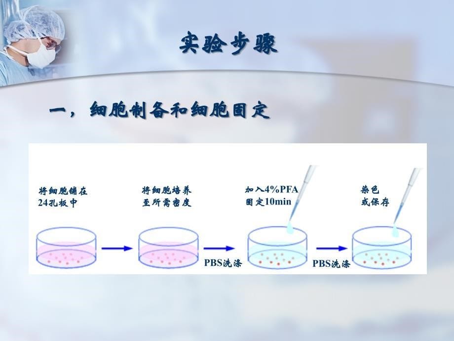 细胞免疫荧光技术_第5页