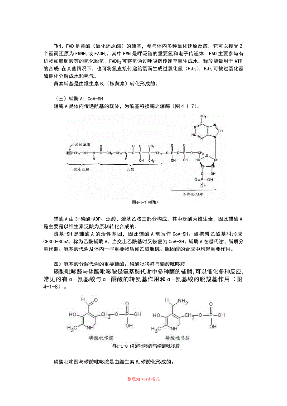 辅酶与辅基汇总Word版_第2页