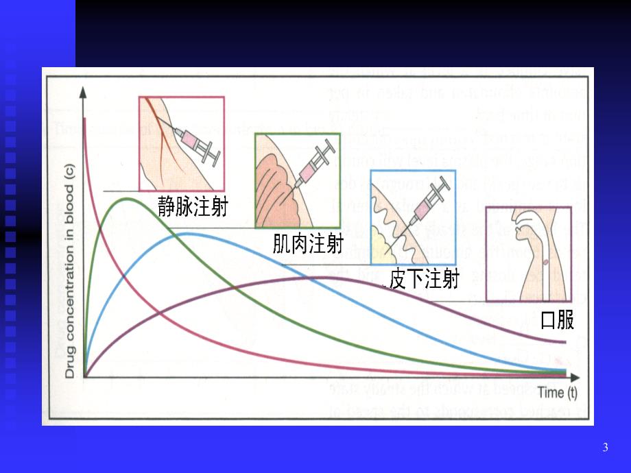 第4章影响药物作用因素_第3页