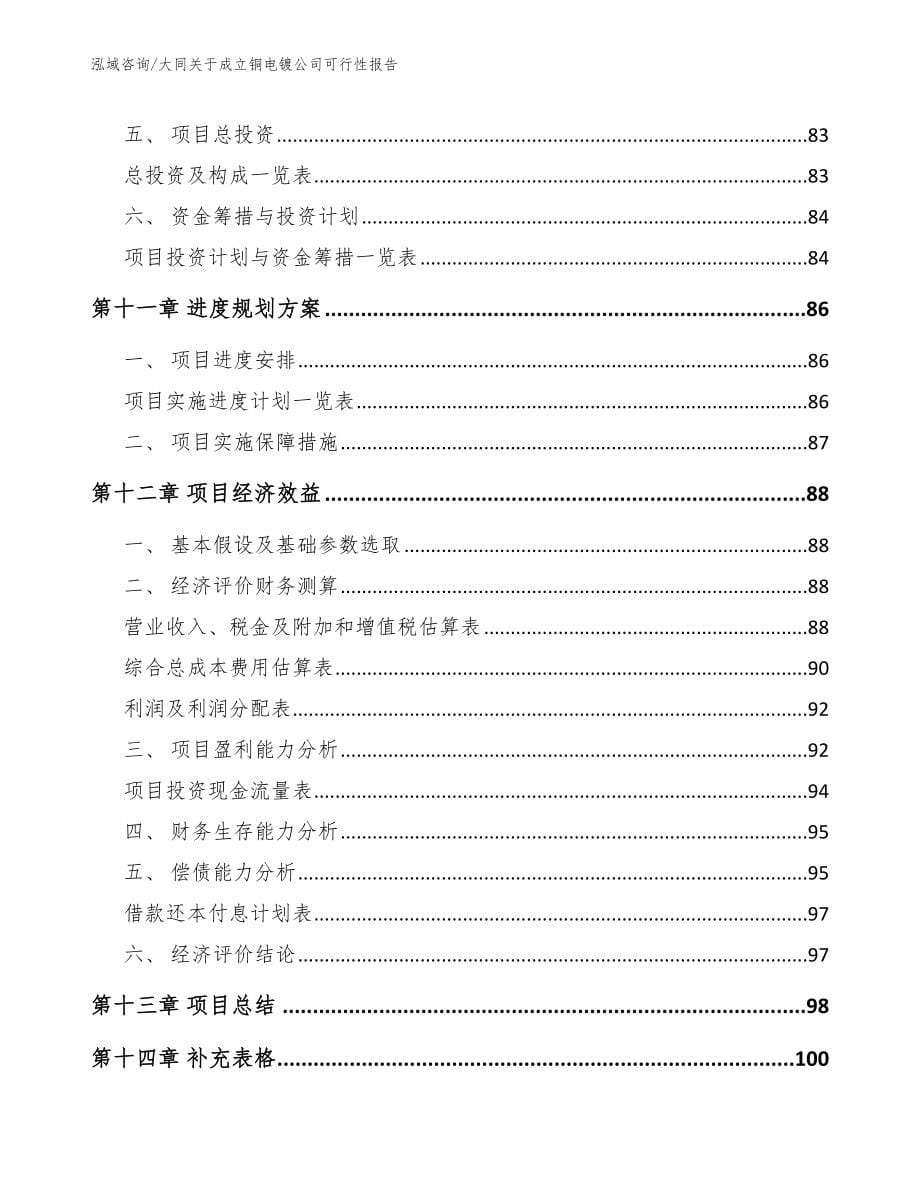 大同关于成立铜电镀公司可行性报告【范文模板】_第5页