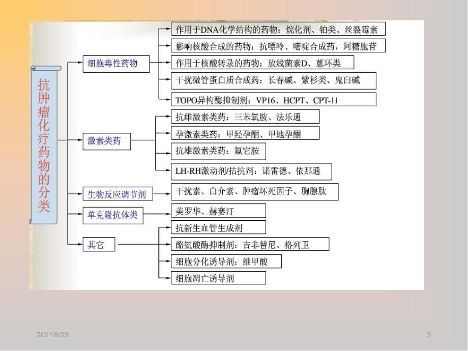 常见化疗药物分类精品课件_第5页