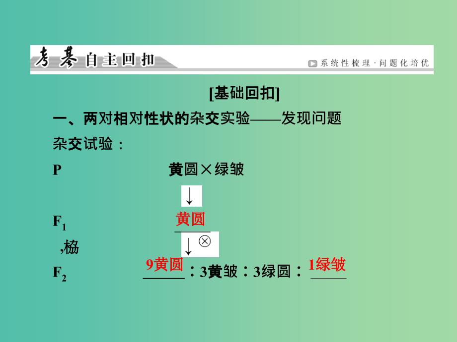 高考生物一轮复习 第5单元 第14讲 孟德尔的豌豆杂交实验（二）课件 (2).ppt_第4页