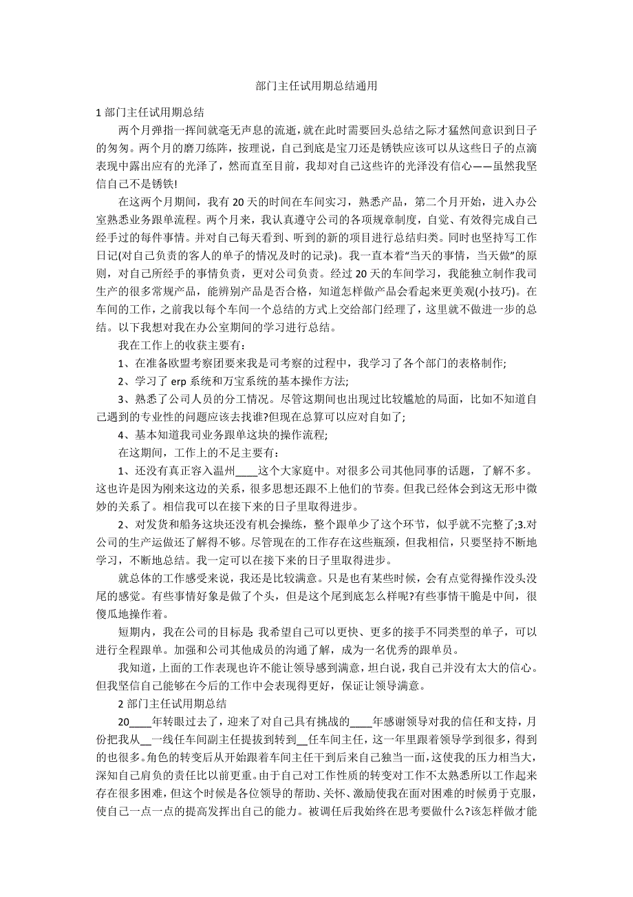 部门主任试用期总结通用_第1页