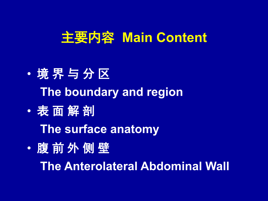 腹部解剖经典图_第2页