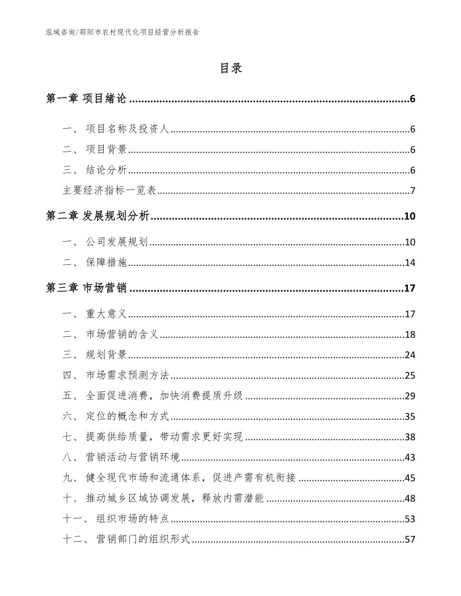 邵阳市农村现代化项目经营分析报告_范文模板_第1页
