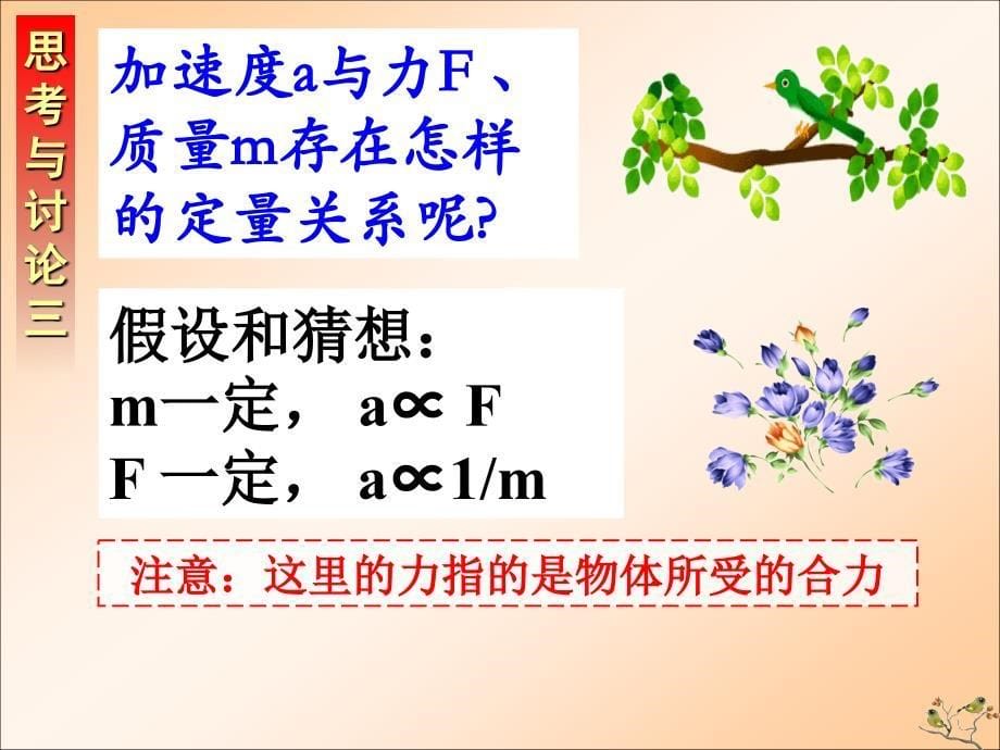 lrh探究加速度与力、质量的关系.ppt_第5页