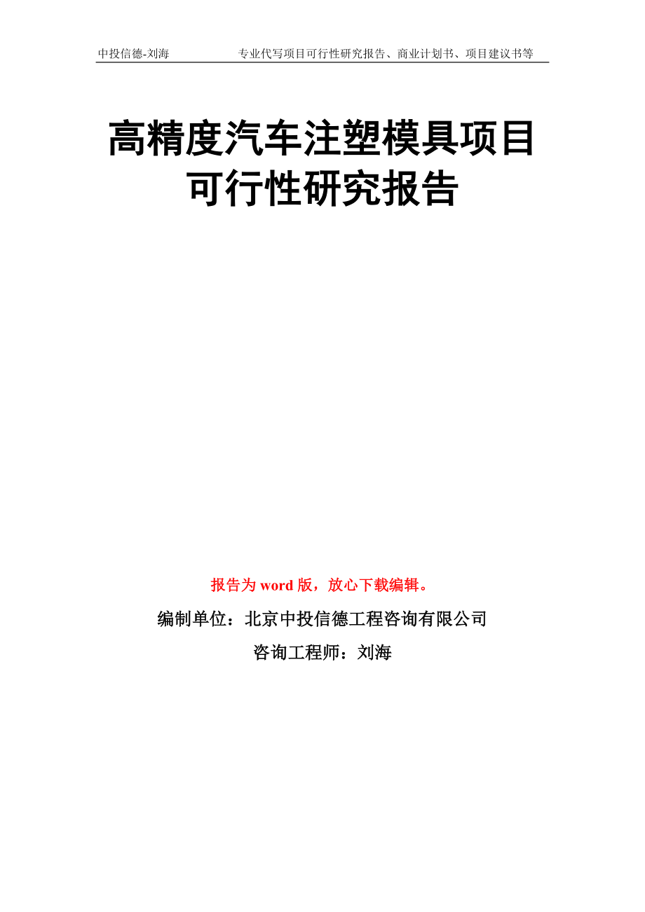 高精度汽车注塑模具项目可行性研究报告写作模板_第1页