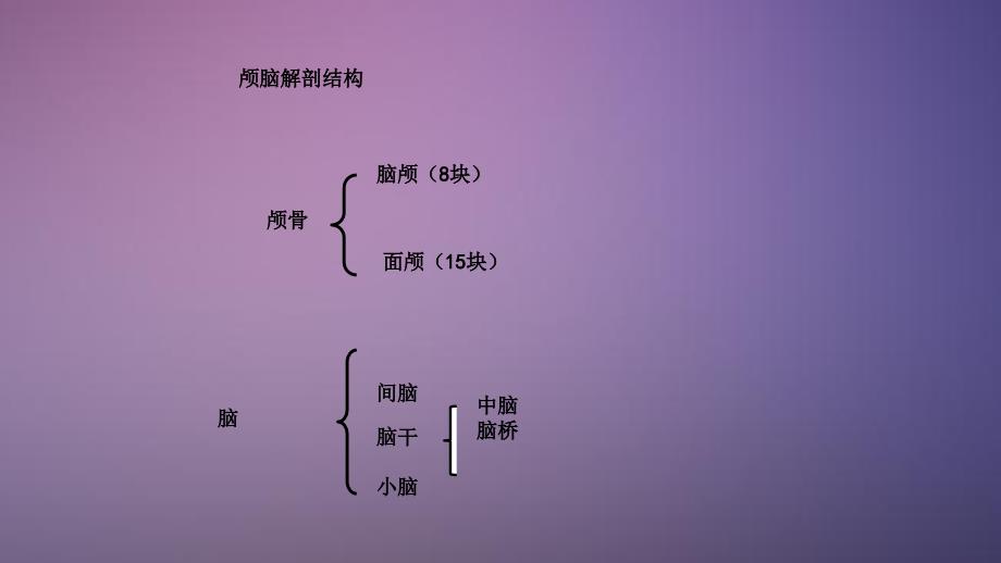 颅脑解剖PPT干货分享_第2页