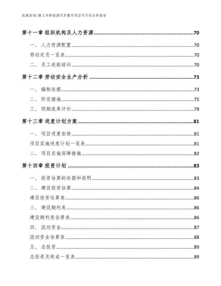 遵义市新能源汽车整车项目可行性分析报告_第5页