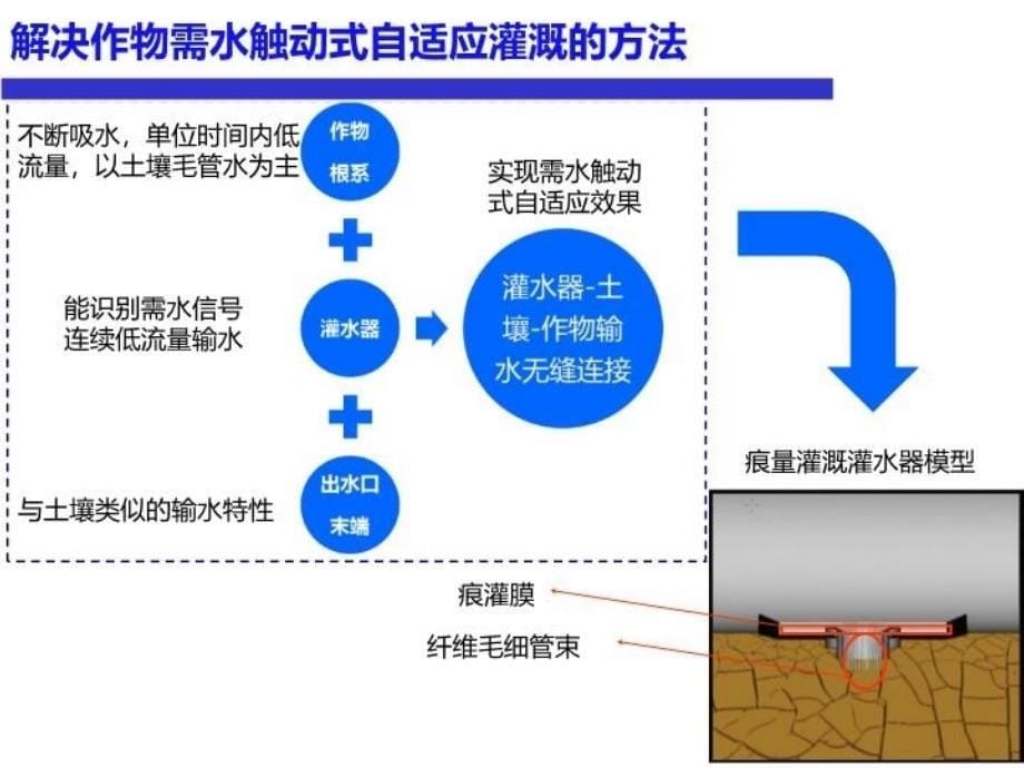 最新实现作物需水触动式自适应灌溉的痕量灌溉技术浅析PPT课件_第5页