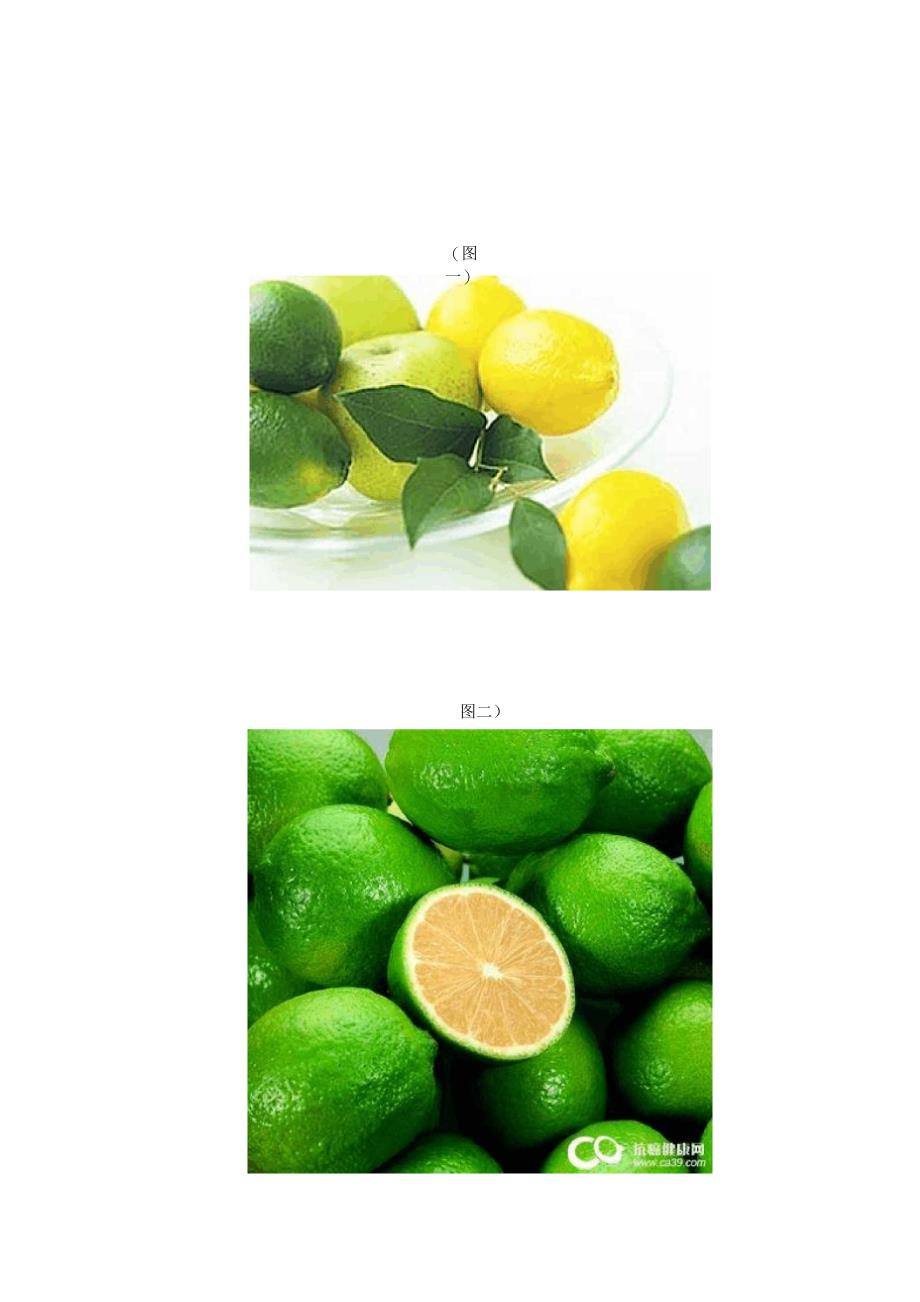 柠檬的功效及作用_第4页