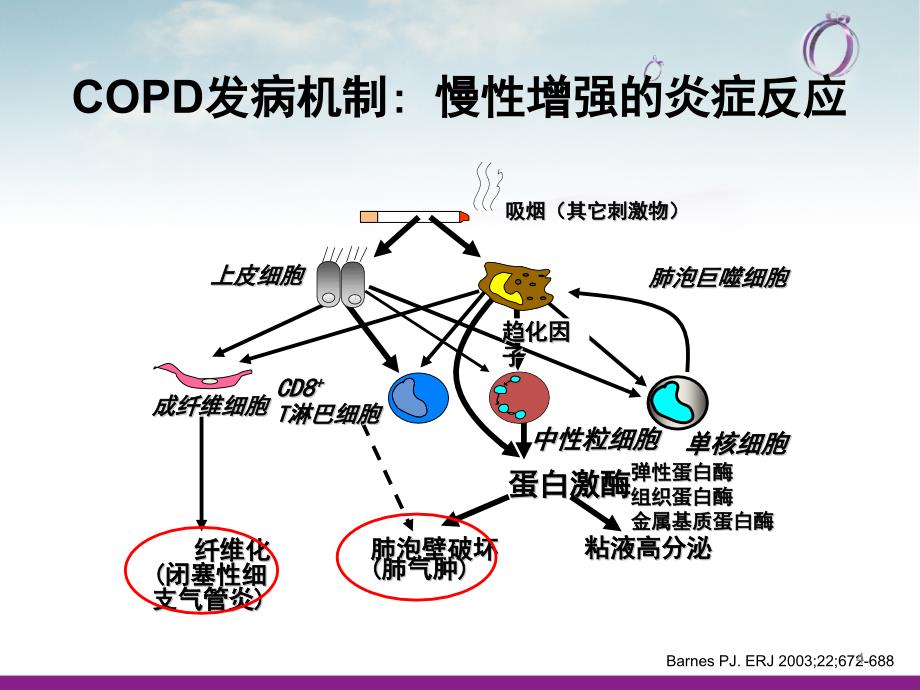 COPD疾病现状ppt课件_第4页