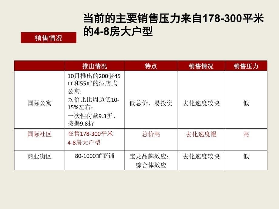 安溪宝龙城市广场营销策划报告_第5页