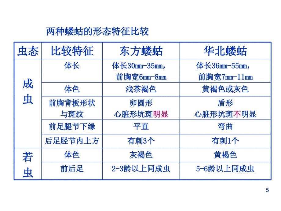 农业昆虫学实验：实验四 地下害虫_第5页