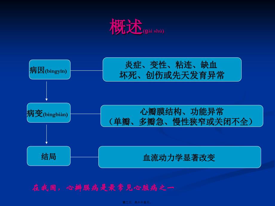 医学专题—心瓣膜病D0C4B0EAC4A4B2A1.D1DDCABECEC4B8E5_第2页