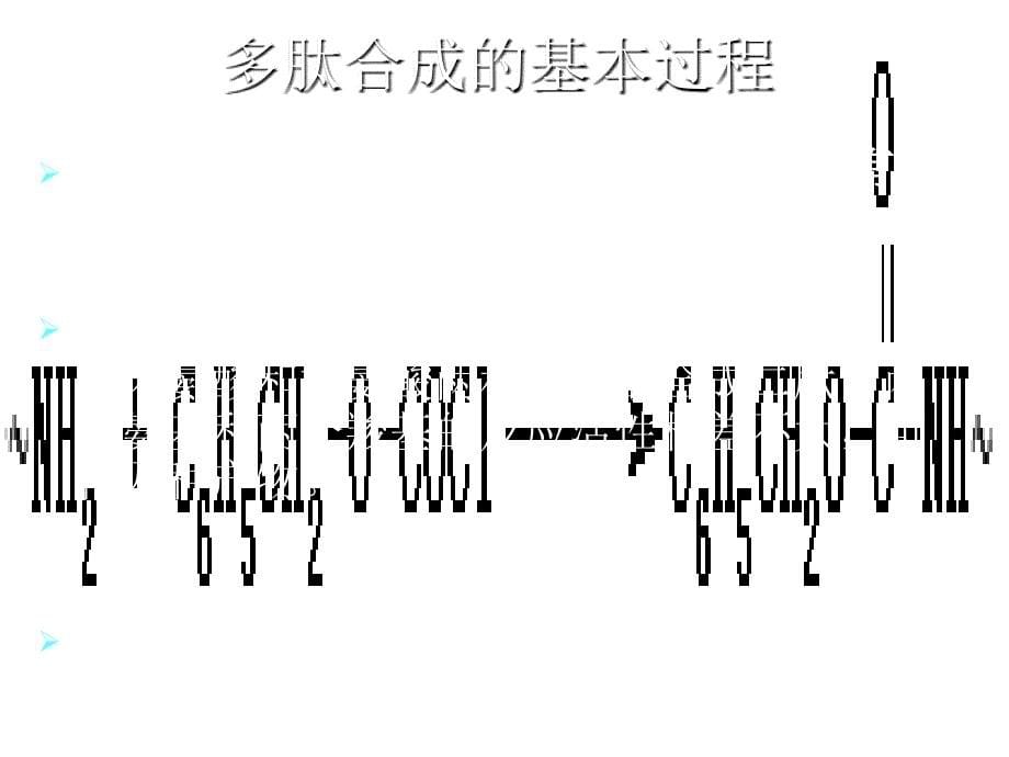 蛋白质分子基础肽的人工合成_第5页