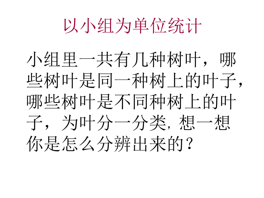 三年级上册科学课件1.5植物的叶 教科版(共36张PPT)教学文档_第2页