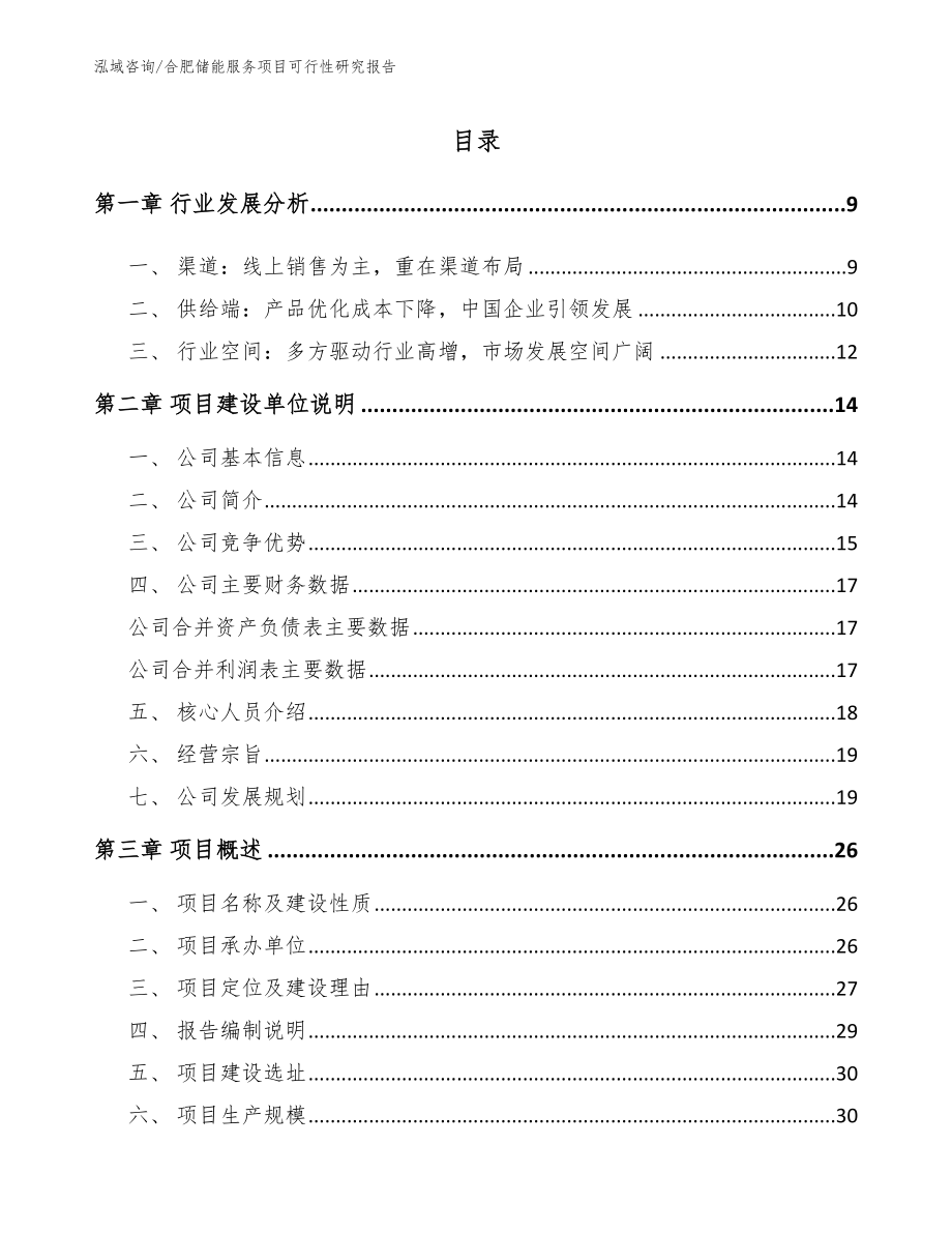 合肥储能服务项目可行性研究报告【模板】_第2页