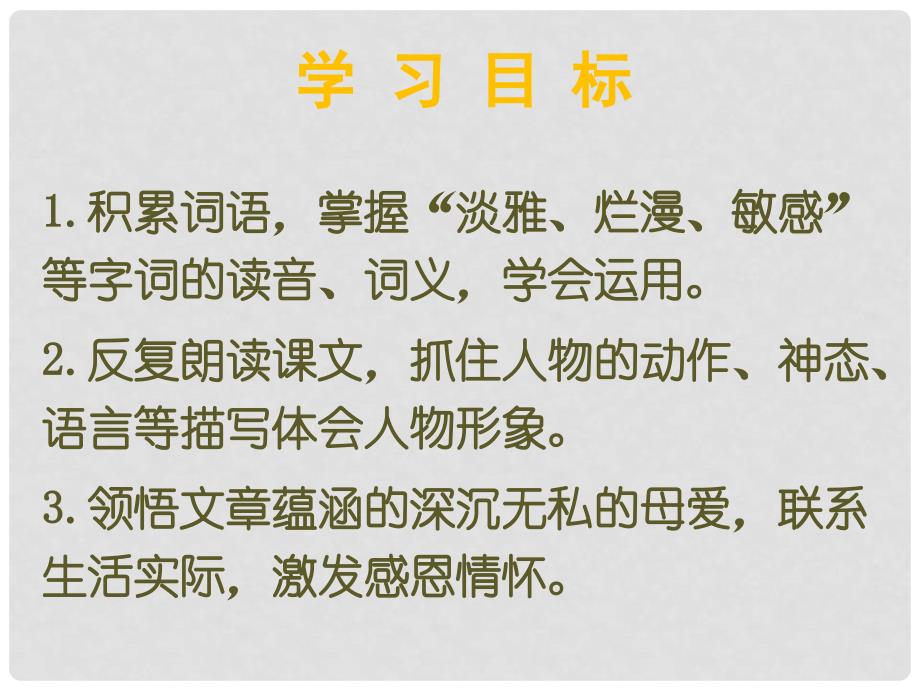 浙江省永嘉县大若岩镇中学七年级语文上册《天的怀念》课件 新人教版_第3页