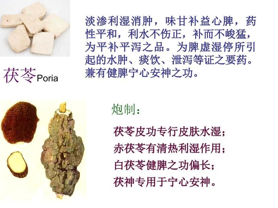 10利水渗湿药中药学汇总_第5页