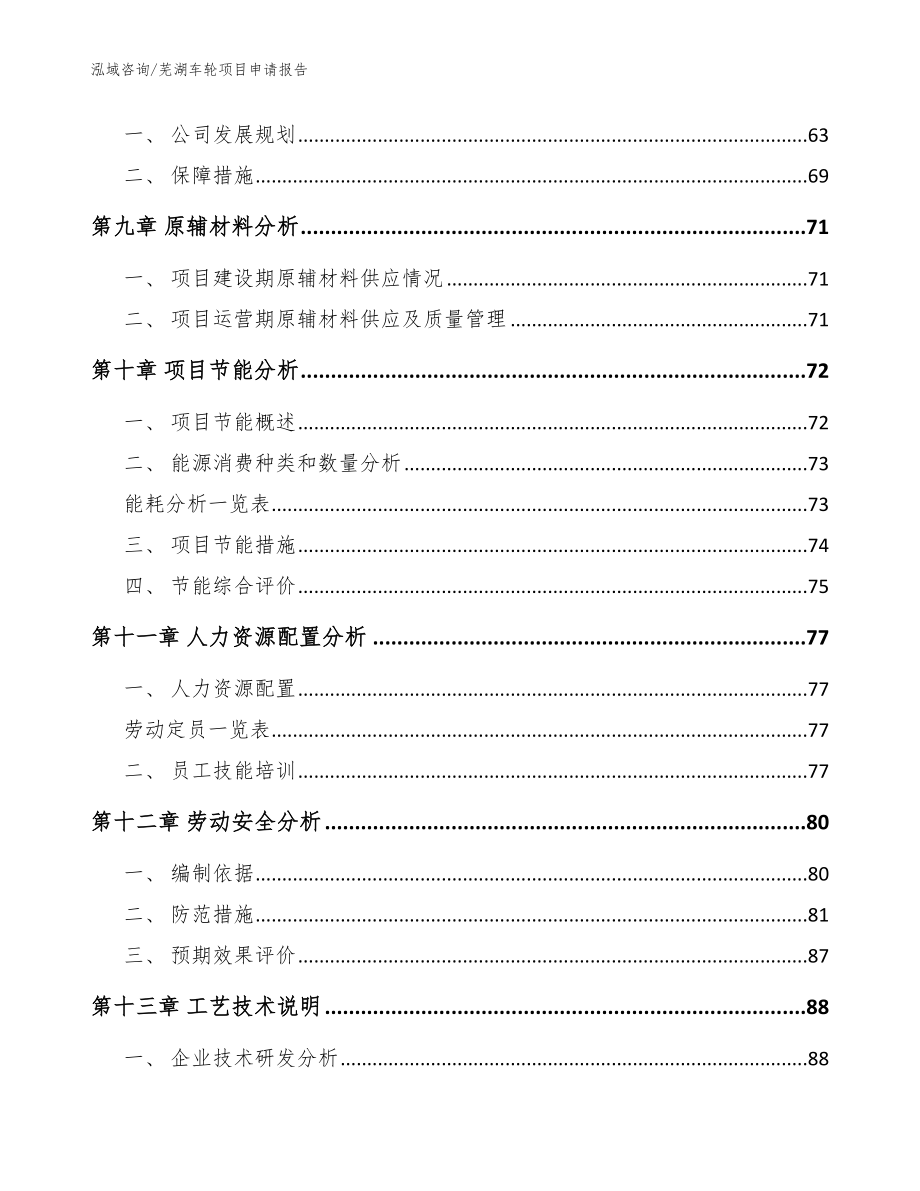 芜湖车轮项目申请报告参考范文_第3页