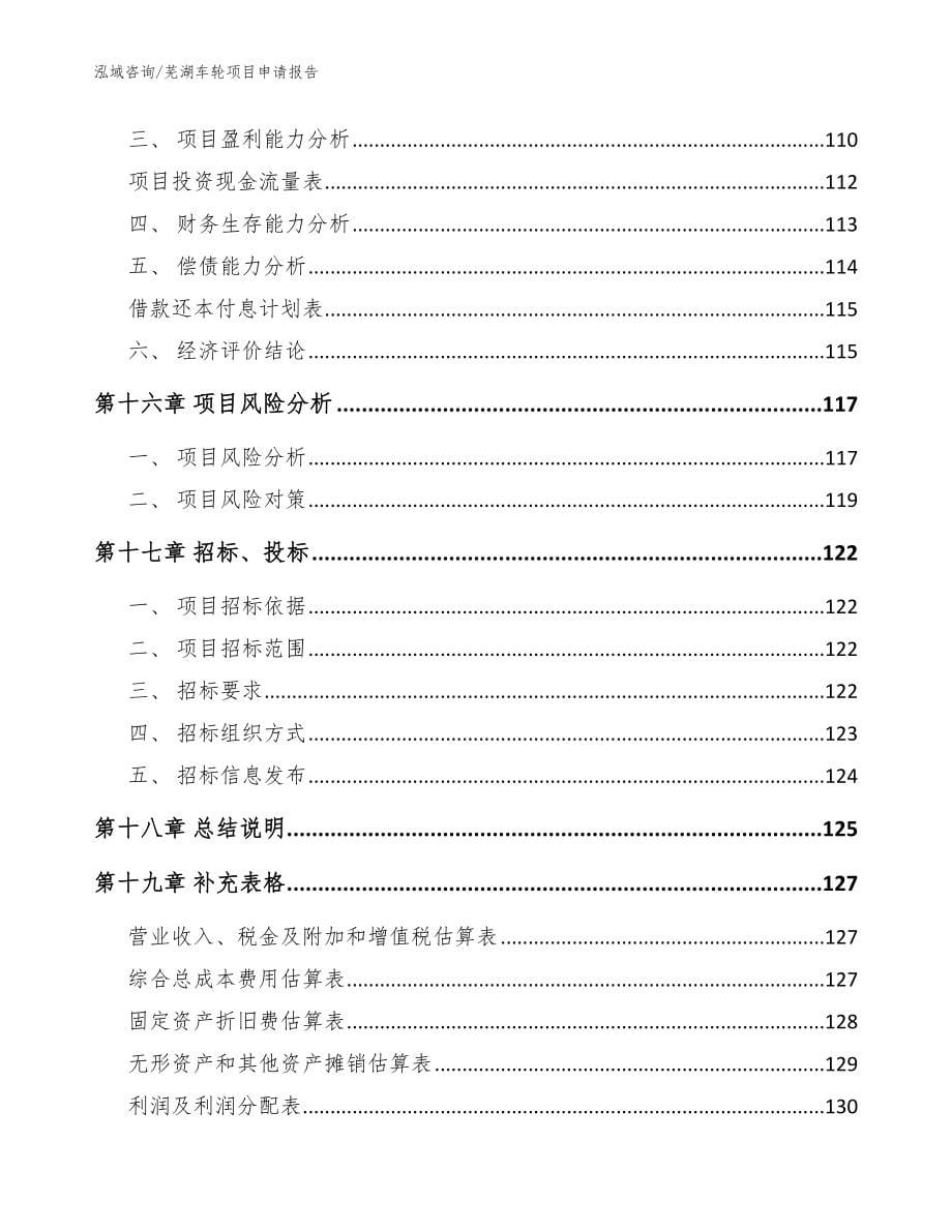 芜湖车轮项目申请报告参考范文_第5页