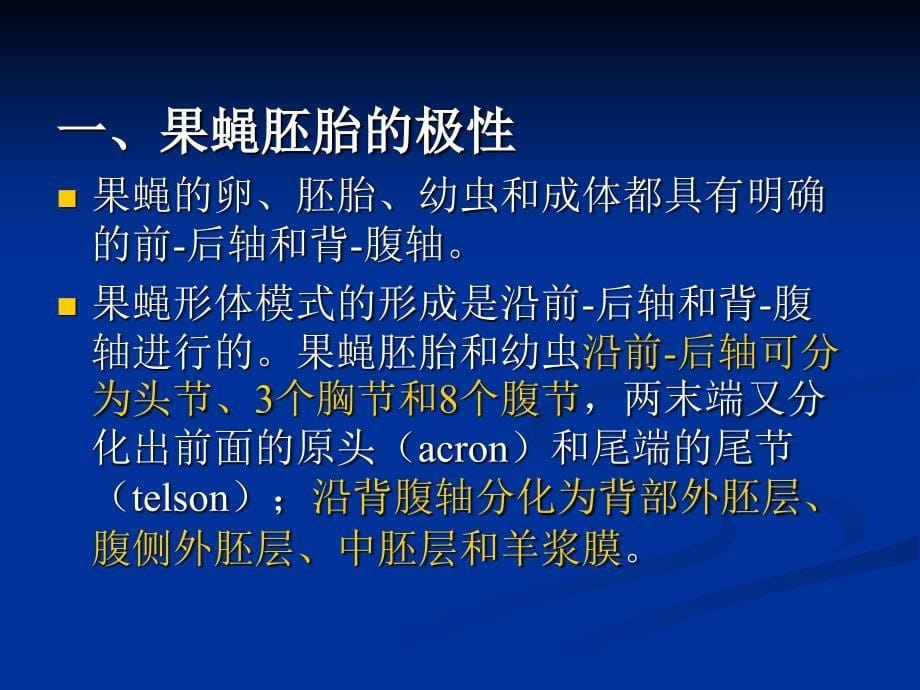 第十章胚轴形成第一节果蝇胚轴的形成第二节两栖类胚轴形成第十章胚轴形成_第5页