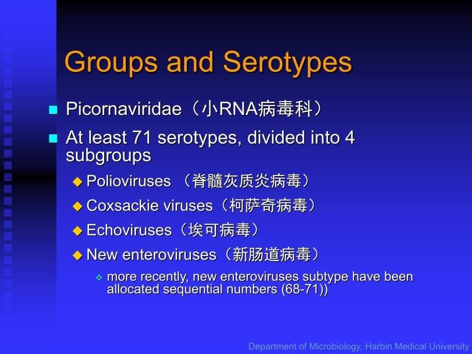 肠道感染病毒微生物教学课件_第5页