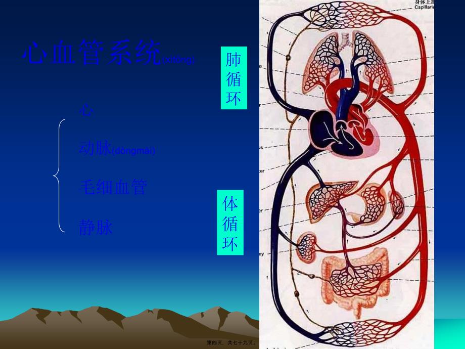 医学专题—心脏体格检查-血管检查29952_第4页