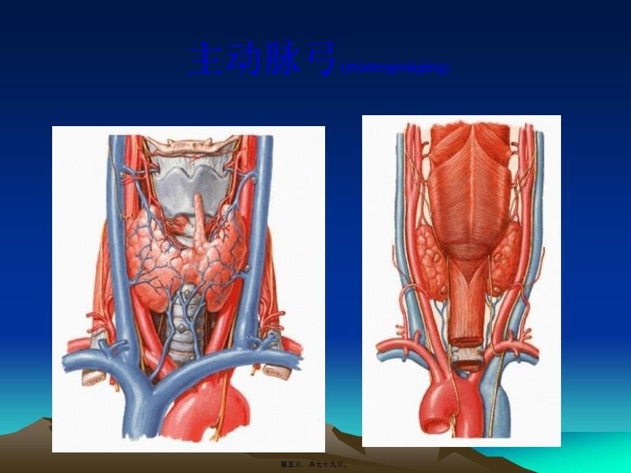 医学专题—心脏体格检查-血管检查29952_第5页