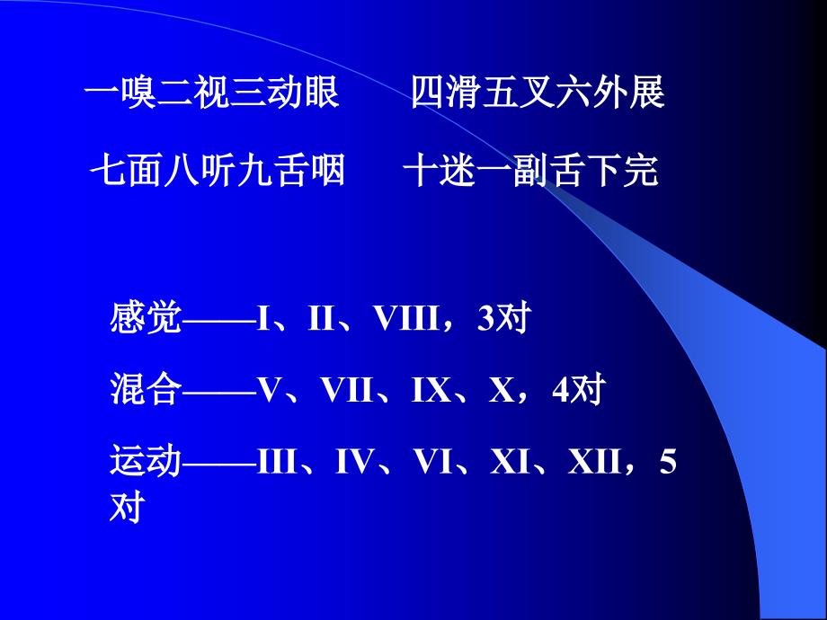 临床专业脑神经_第4页