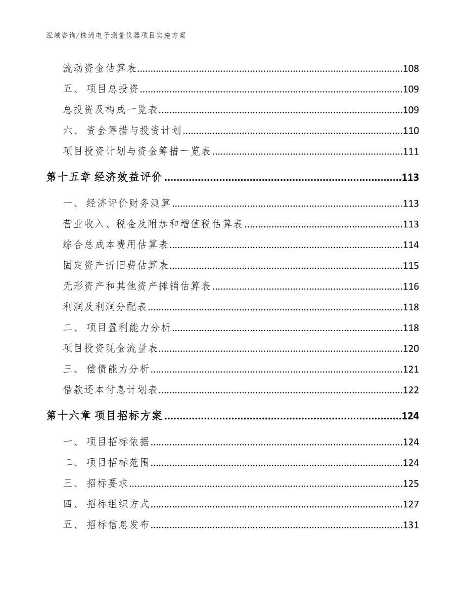 株洲电子测量仪器项目实施方案_第5页