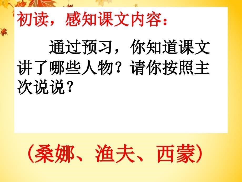 S版六年级语文下册16课《穷人》(2课时)_第5页