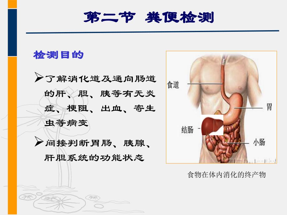 7痰、脑脊液、浆膜腔积液_第3页