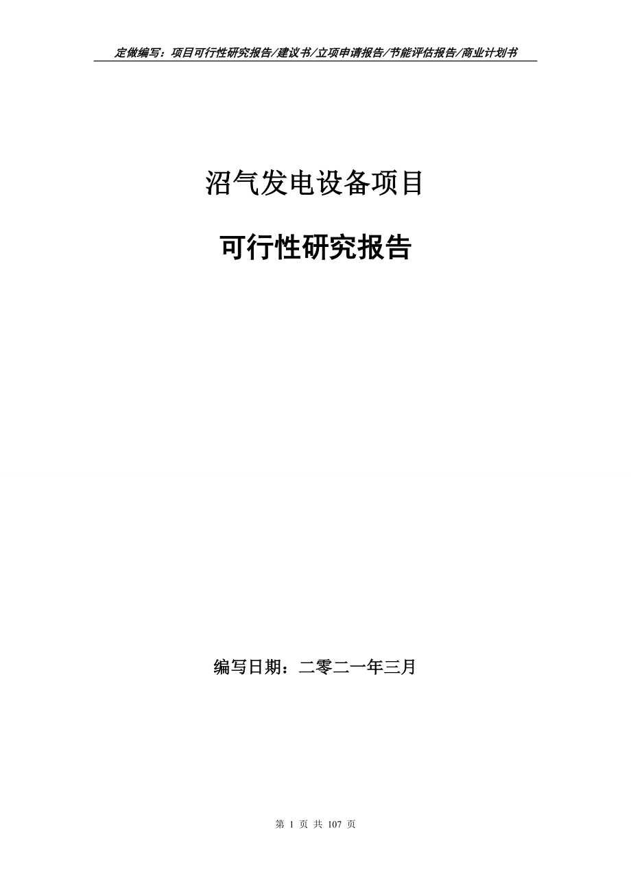 沼气发电设备项目可行性研究报告写作范本_第1页