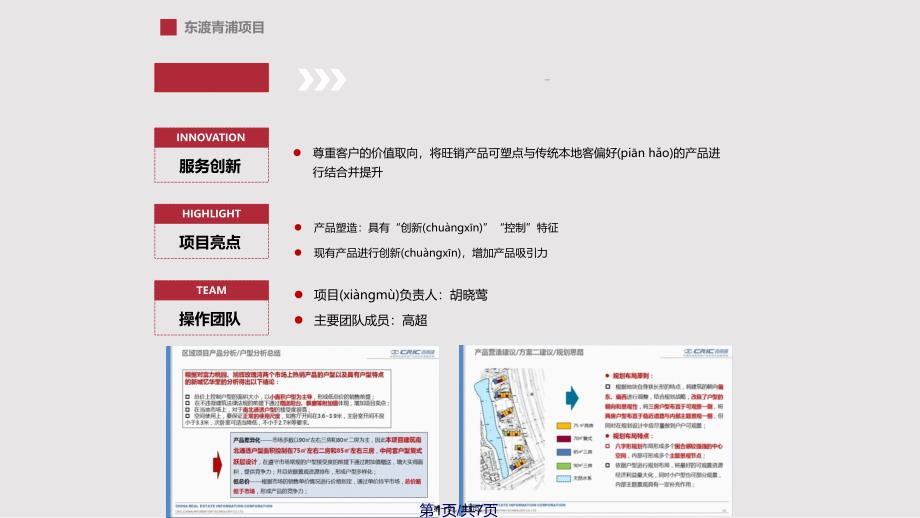 CRIC克而瑞咨询案例东渡青浦项目实用实用教案_第1页