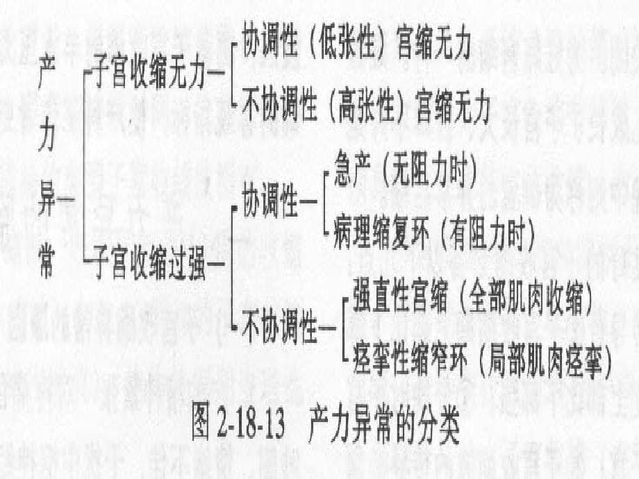 异常分娩的识别及处理.ppt_第5页