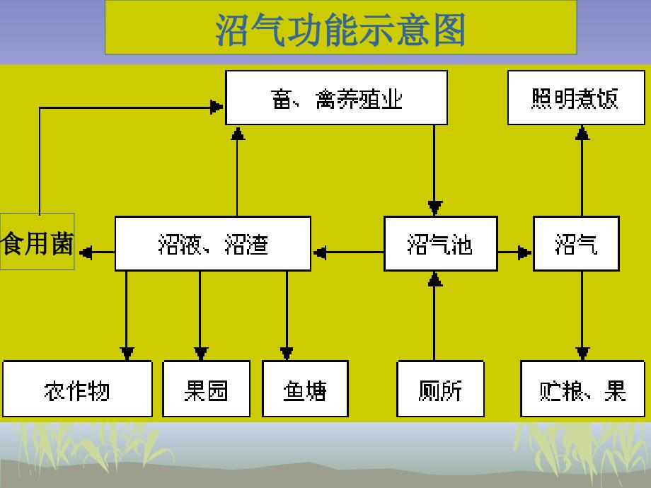 9沼气的功能和效应_第2页