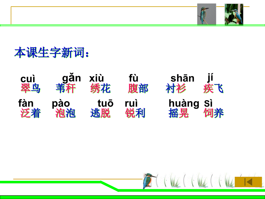 翠鸟(人教版三年级下册).ppt_第2页